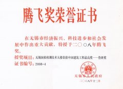 2008年無錫市騰飛獎